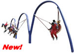 special needs swingset structures